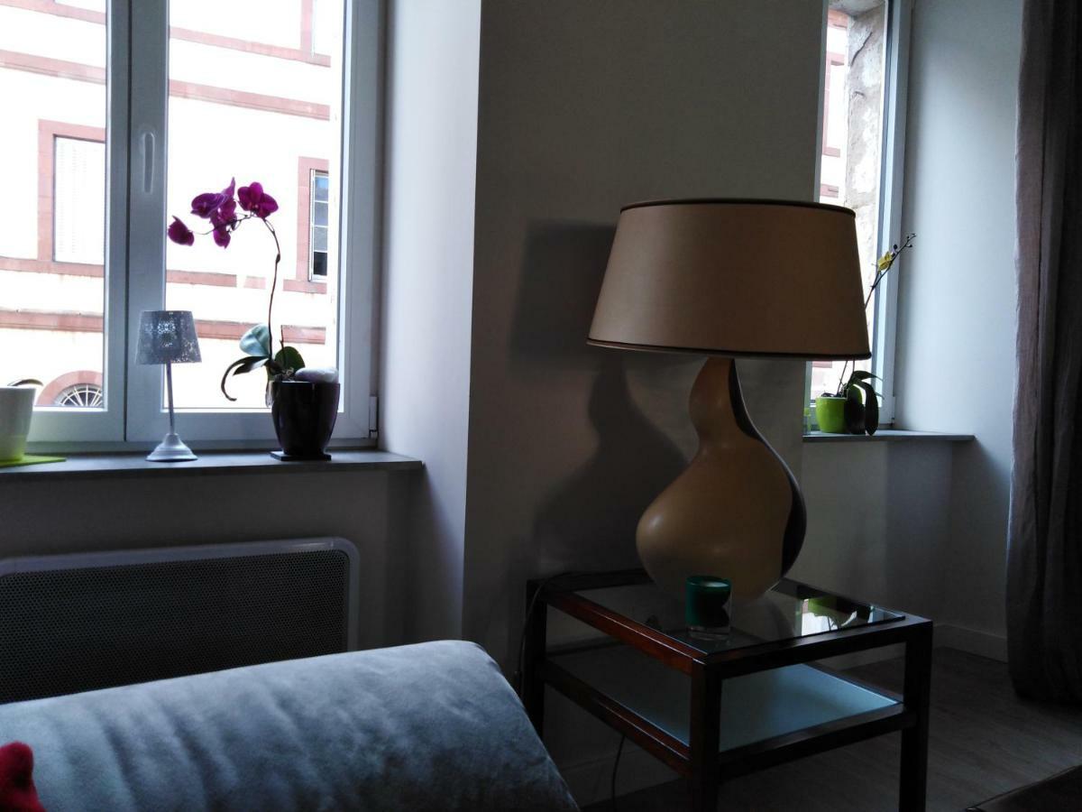 Les Chambres Hautes D'Anastasia Rodez Esterno foto
